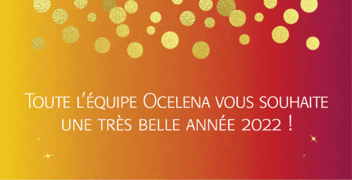 You are currently viewing Ocelena vous souhaite une belle année 2022