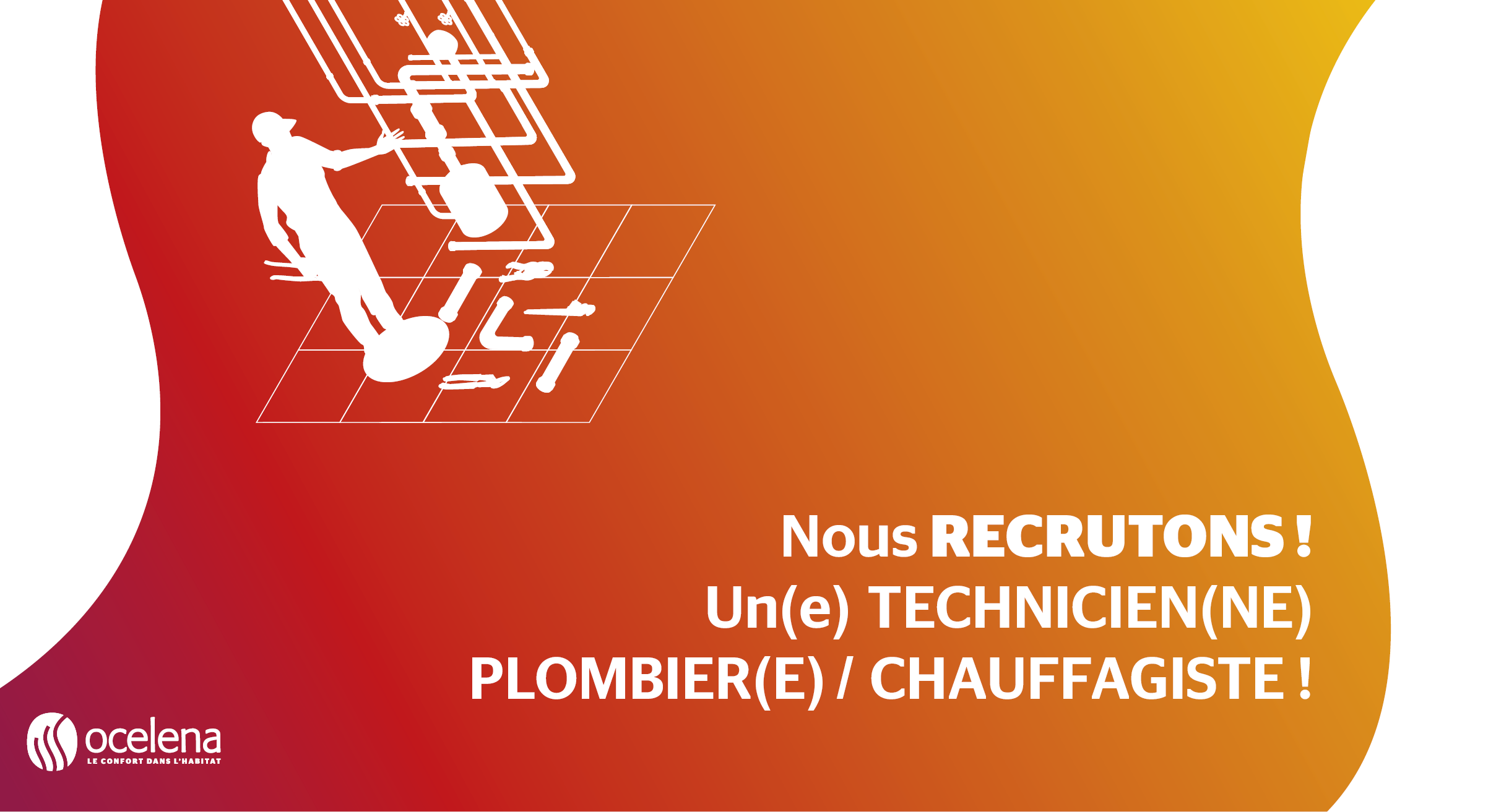 Read more about the article Recrutement Ocelena
